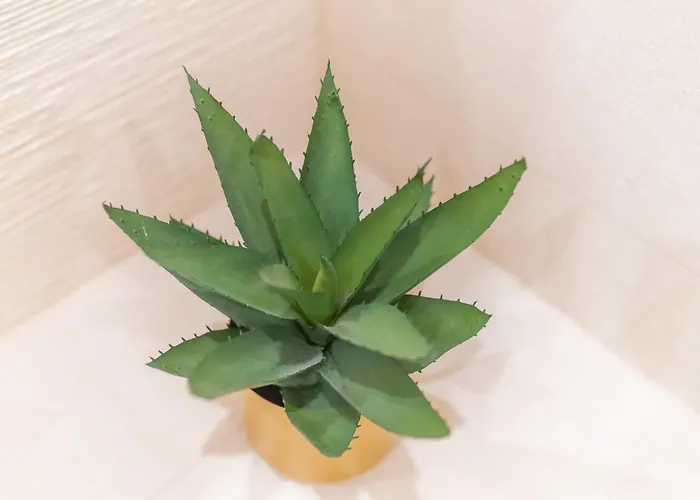 Maison d'hôtes Samstag