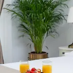Samstag Split